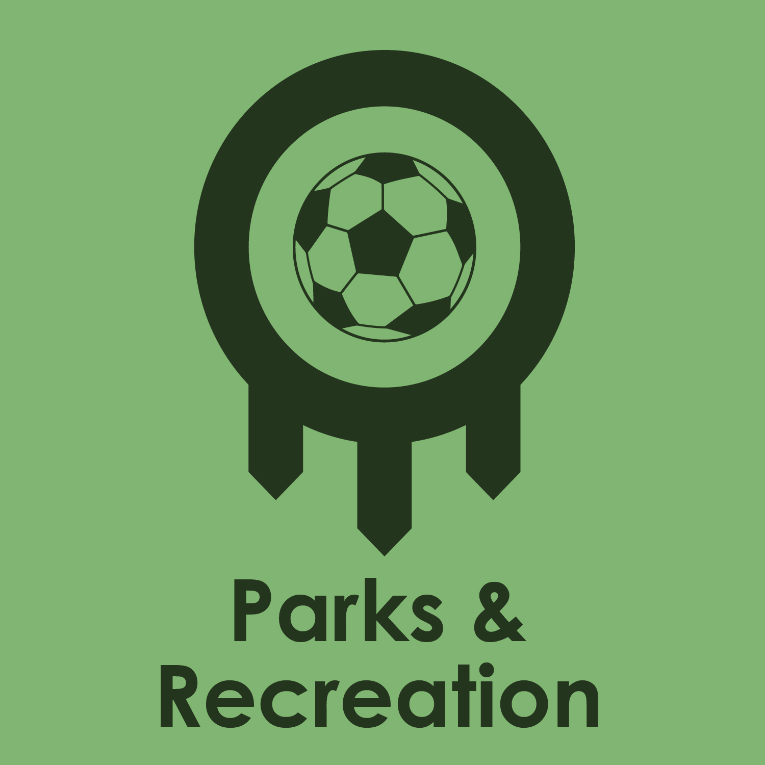Parks & Recreation Chapter