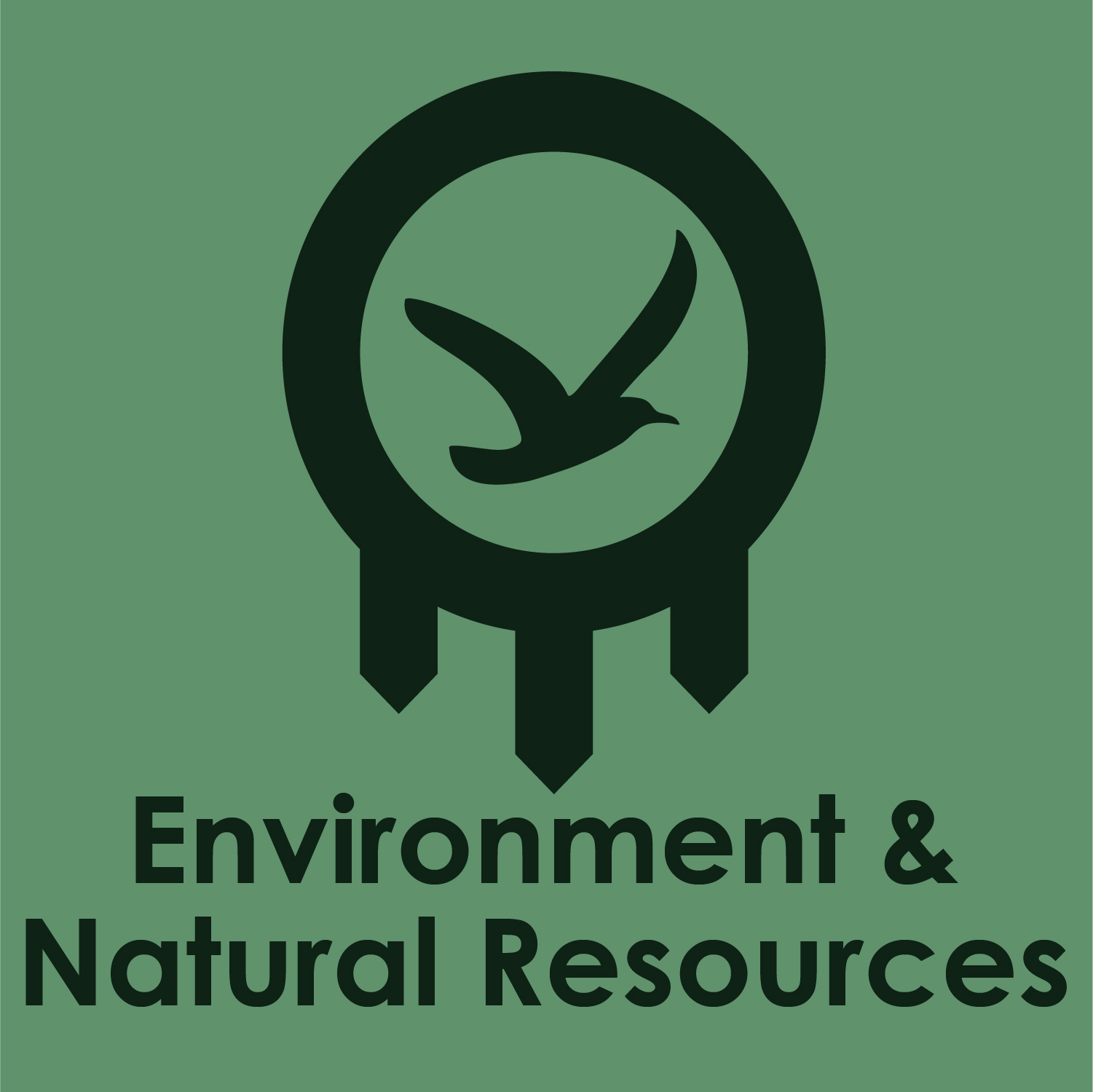 Environment & Natural Resources Chapter